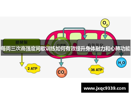 每周三次高强度间歇训练如何有效提升身体耐力和心肺功能